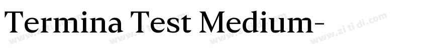 Termina Test Medium字体转换